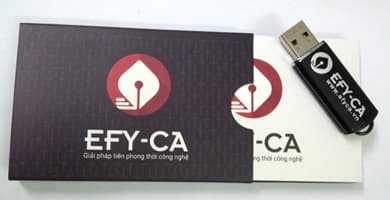 Hướng dẫn cài đặt ký số EFY-CA